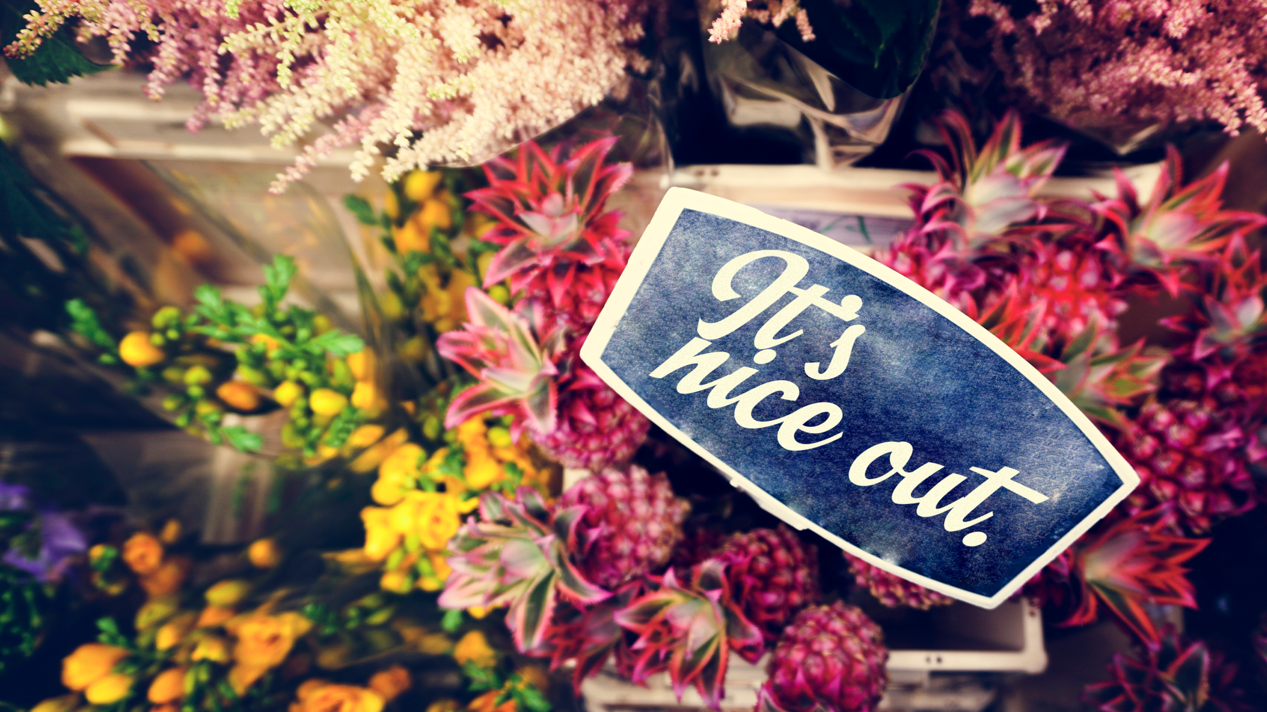 header_image