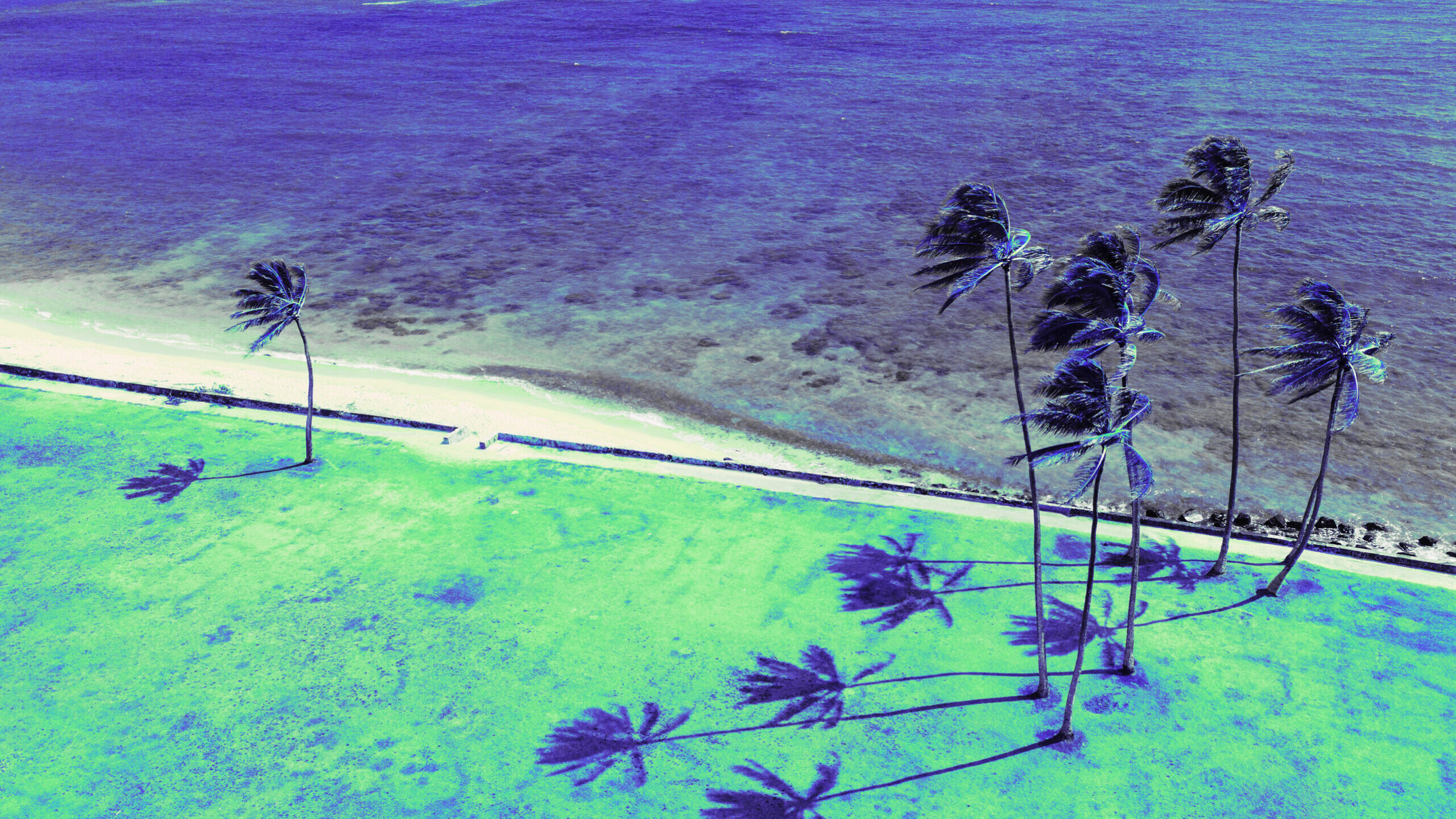 header_image