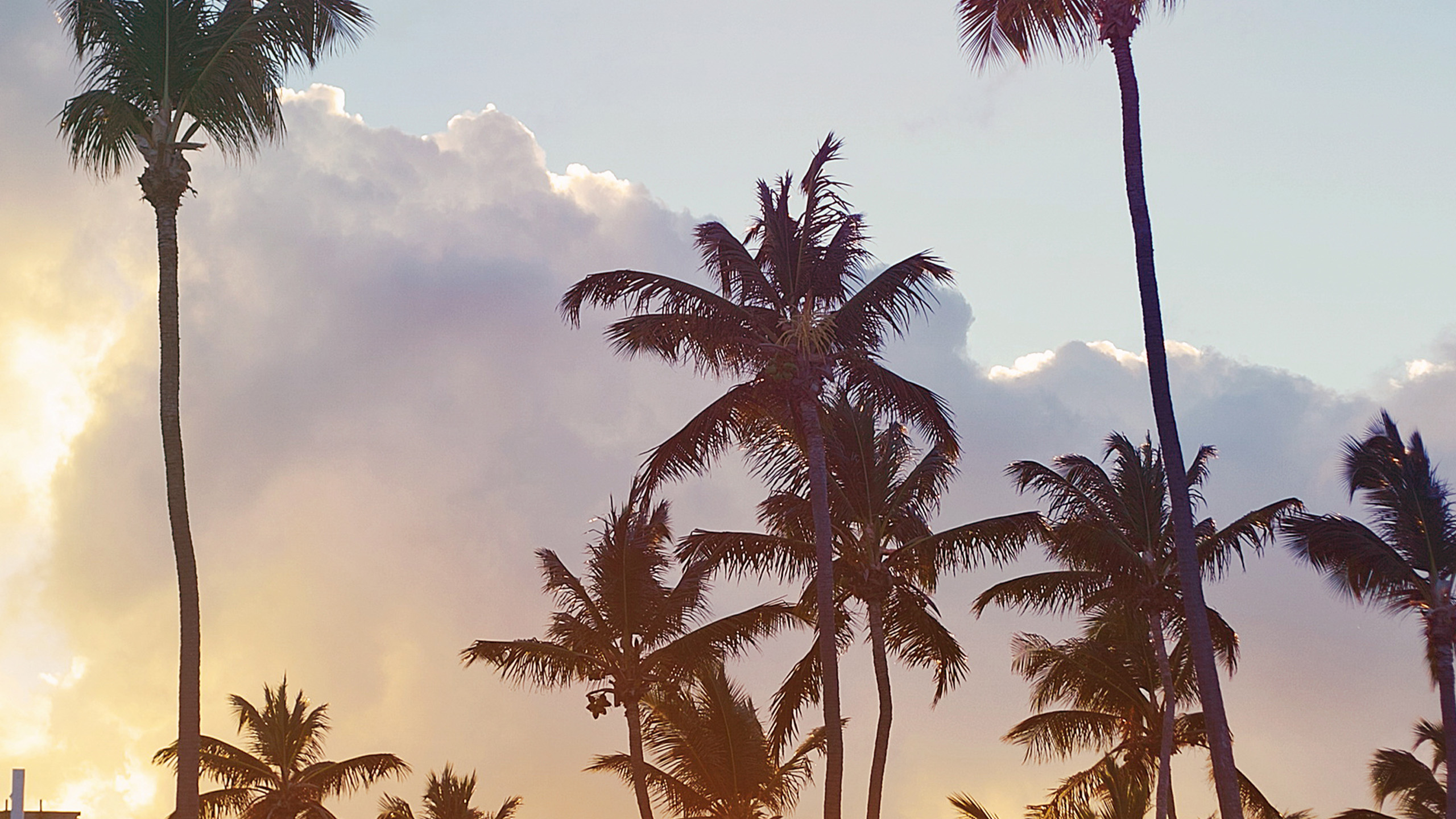 header_image